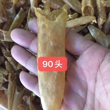 水产—90头老黄花胶