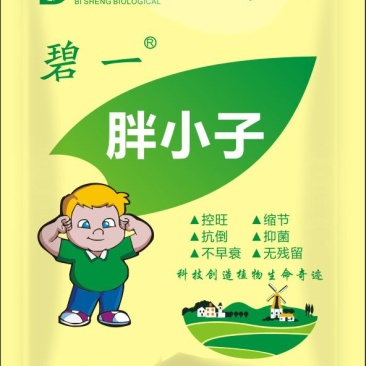 碧一牌胖小子,富含进口助理,小肽分子,纯生物控旺效,没有