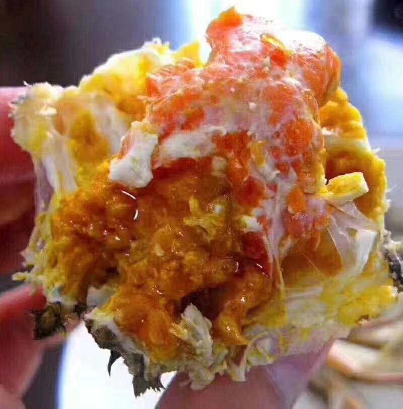 江苏阳澄湖大闸蟹（活力好，死亡率低，蟹黄饱满诚信经营)