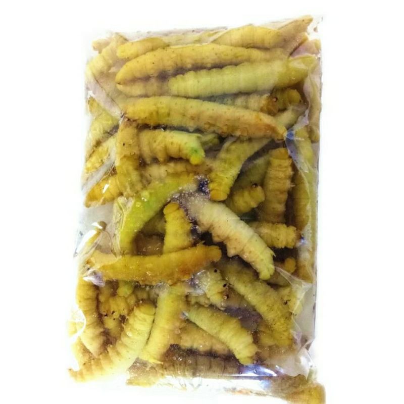 豆卵豆丹（豆虫）鲜活冷冻（鲜冻熟冻）