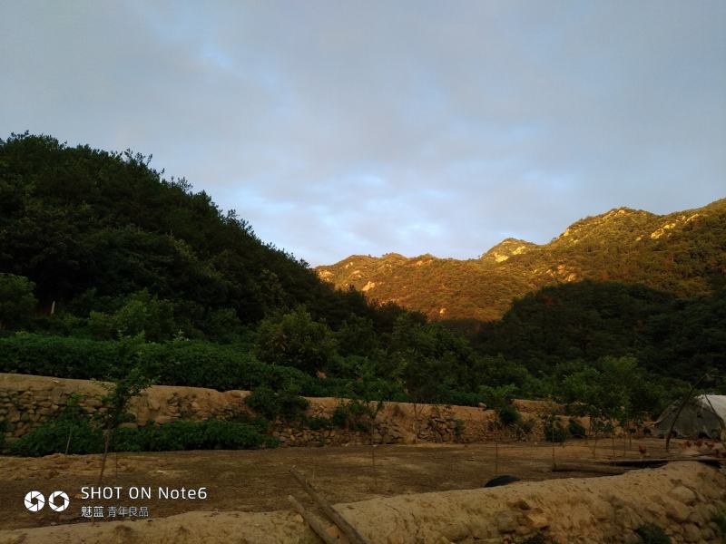 青山绿水营养美味，天然养殖品质优美