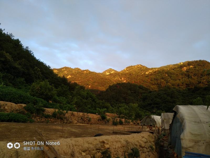 青山绿水营养美味，天然养殖品质优美