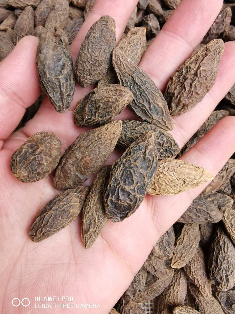 西青果质藏青果包邮产地直发量大从优可常年供应