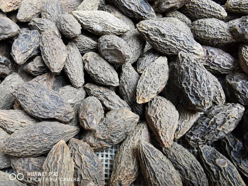 西青果质藏青果包邮产地直发量大从优可常年供应