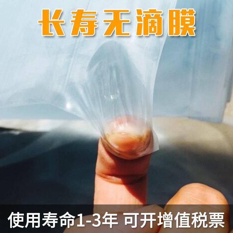 厂家直销大棚膜、无滴膜、消雾膜、Po膜、黑白膜、绿白膜等