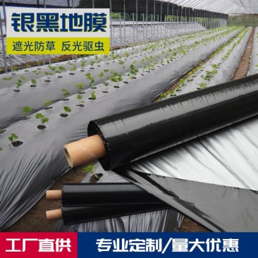 厂家直销银灰双色地膜反光膜打孔膜各种规格可订制