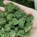 三七花新花，500克装文山产地一手货源