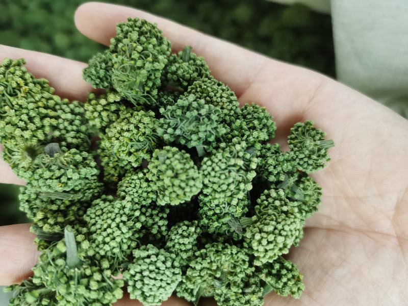 三七花新花，500克装文山产地一手货源
