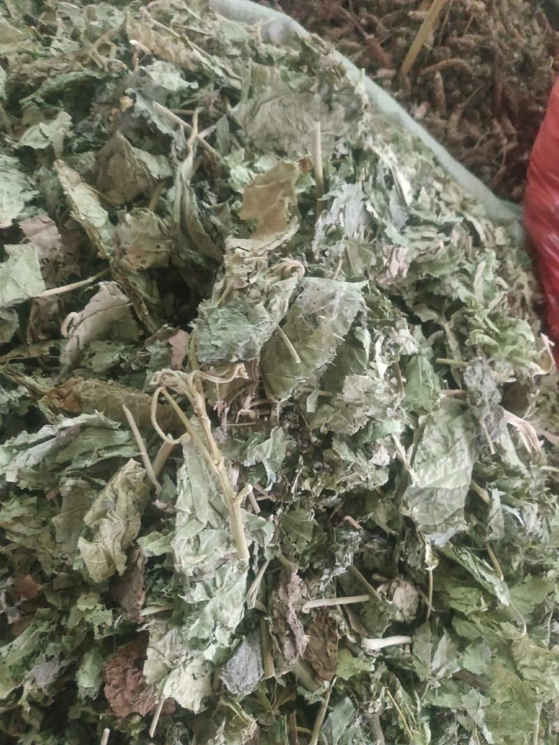 芙蓉叶～新货切段～1公斤起售～量大优惠～