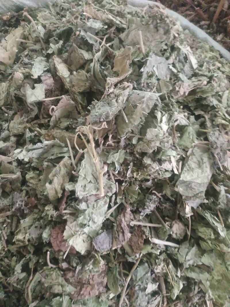 芙蓉叶～新货切段～1公斤起售～量大优惠～