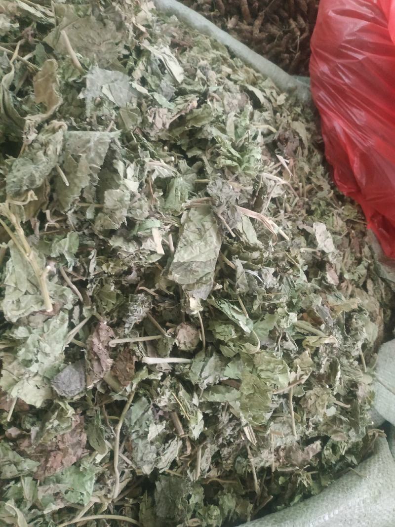 芙蓉叶～新货切段～1公斤起售～量大优惠～