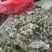 芙蓉叶～新货切段～1公斤起售～量大优惠～