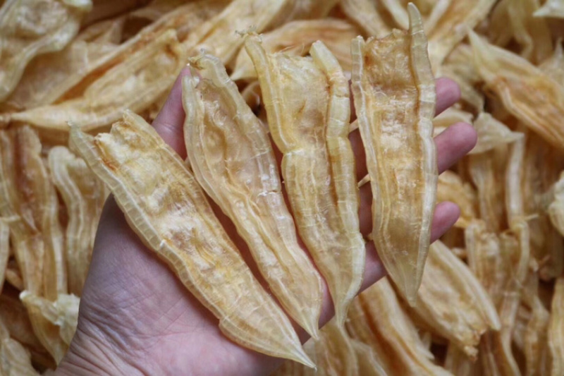 60头双背胶鱼胶花胶水产干货批发代发送礼礼盒