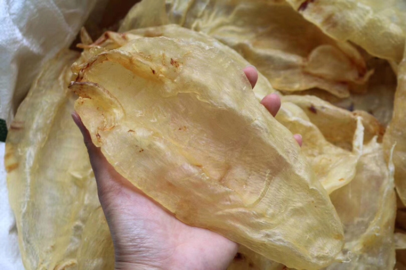 6头苏里南北海母开片鱼胶花胶水产干货批发代发送礼礼盒