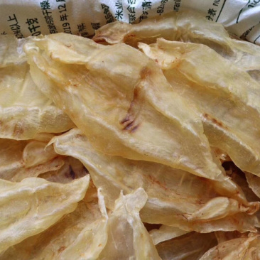 6头苏里南北海母开片鱼胶花胶水产干货批发代发送礼礼盒