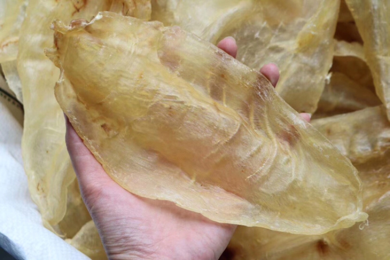 6头苏里南北海母开片鱼胶花胶水产干货批发代发送礼礼盒