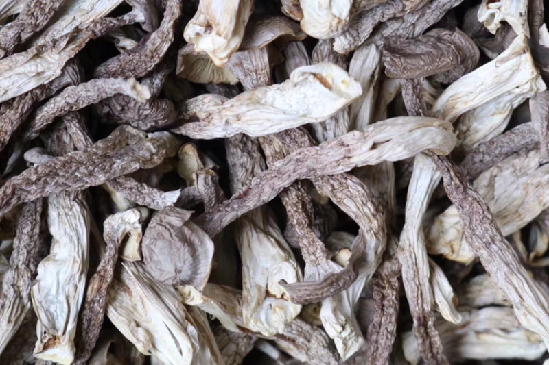 AAA特级鹿茸菇食用菌批发代发送礼礼盒