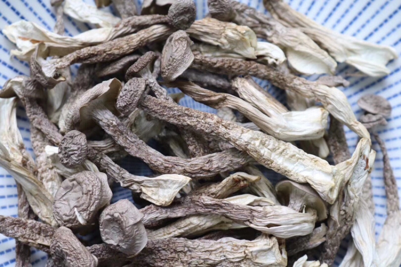 AAA特级鹿茸菇食用菌批发代发送礼礼盒