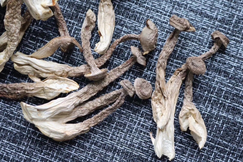 AAA特级鹿茸菇食用菌批发代发送礼礼盒