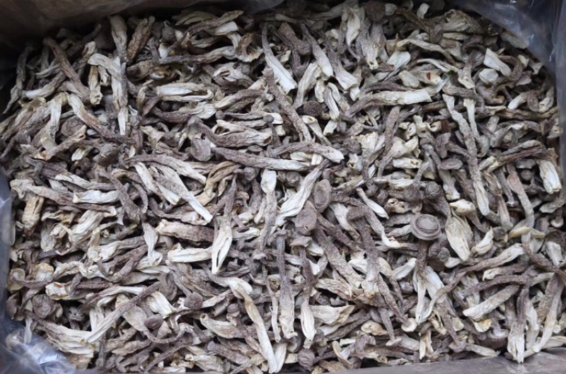AAA特级鹿茸菇食用菌批发代发送礼礼盒