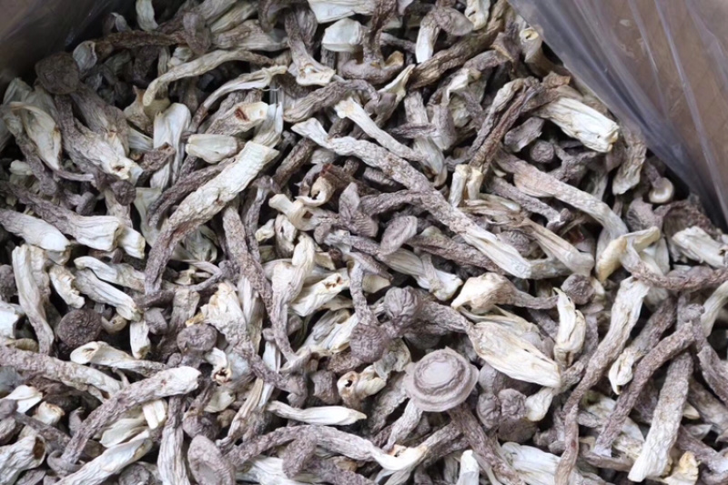 AAA特级鹿茸菇食用菌批发代发送礼礼盒