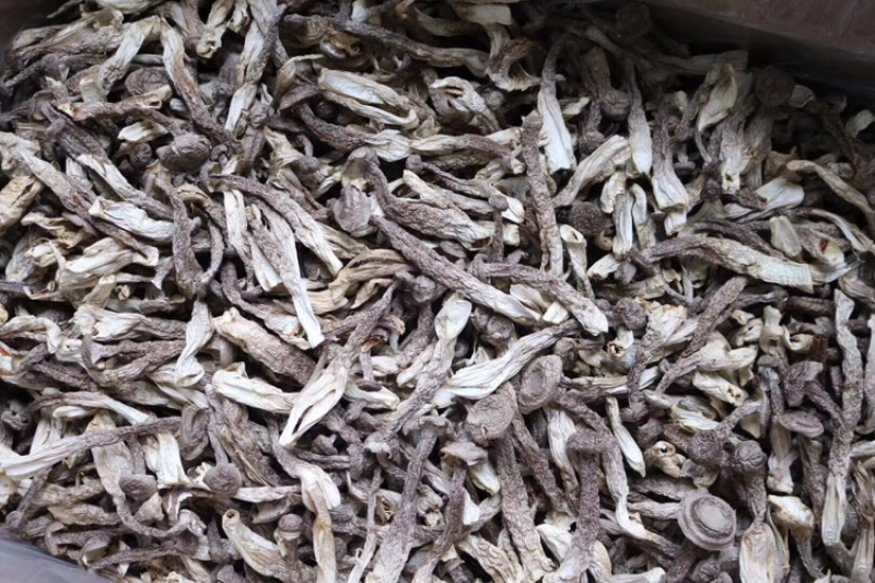 AAA特级鹿茸菇食用菌批发代发送礼礼盒