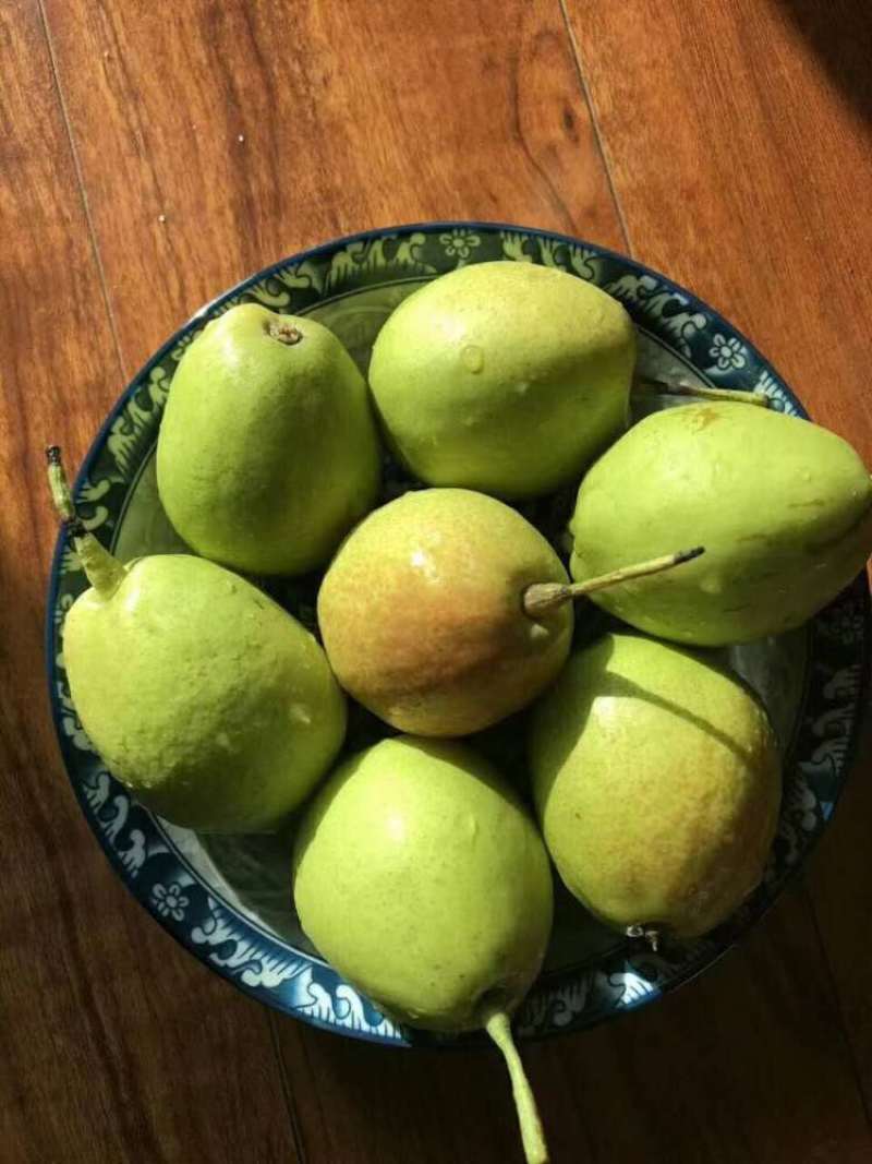 包邮新疆库尔勒香梨多种规格和包装多种等级