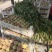 【推荐】大叶子蜜桃大量供应产地销售，信经营代发全国