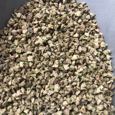 白蒺藜产地直销大货供应