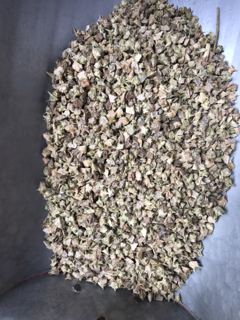 白蒺藜产地直销大货供应