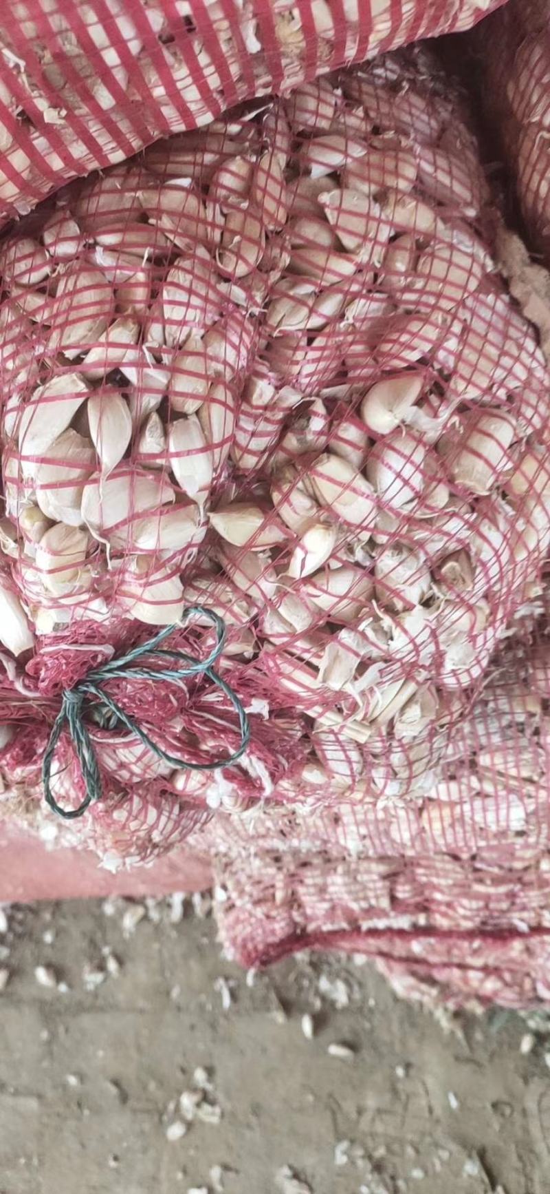 邳州精品杂交蒜芯邳州精品杂交蒜邳州精品杂交蒜芯