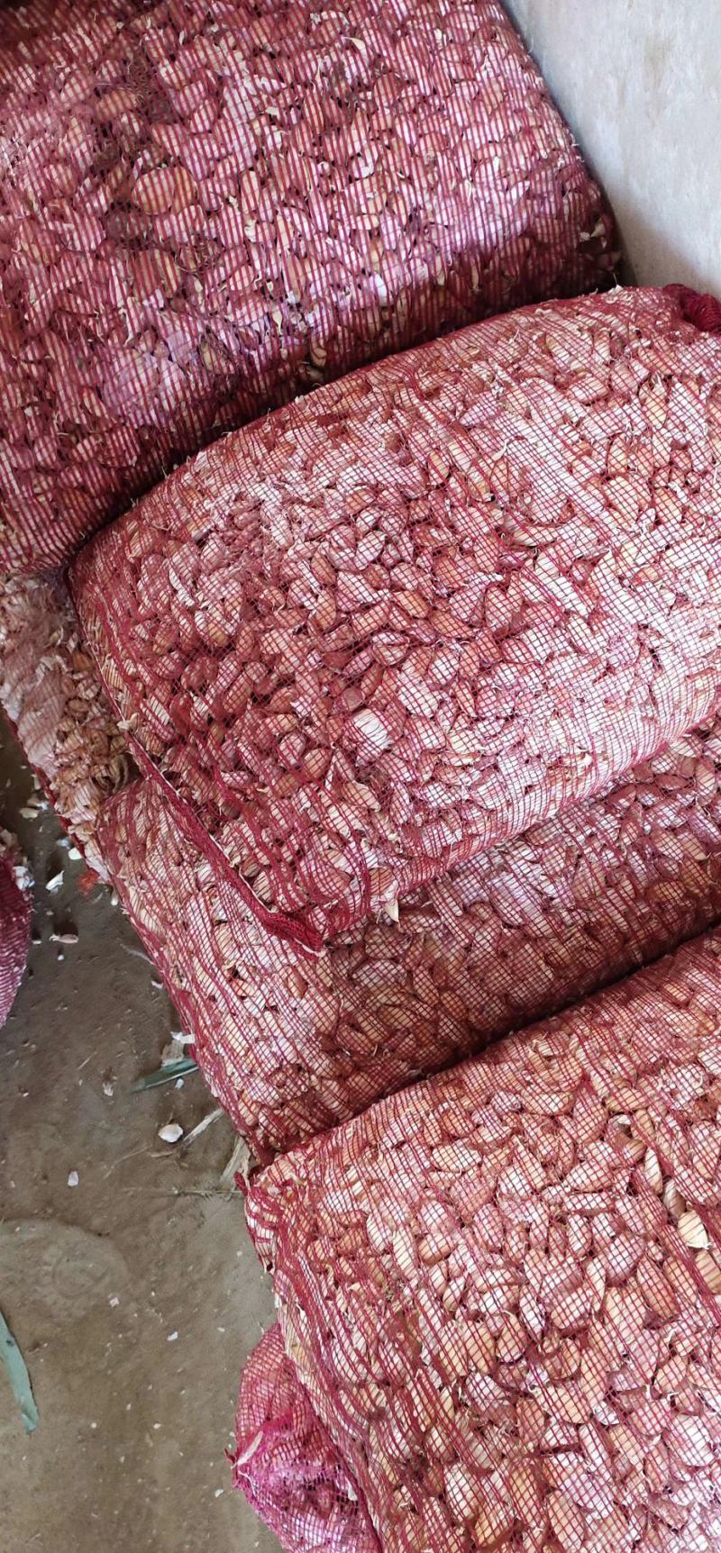 邳州精品杂交蒜芯邳州精品杂交蒜邳州精品杂交蒜芯