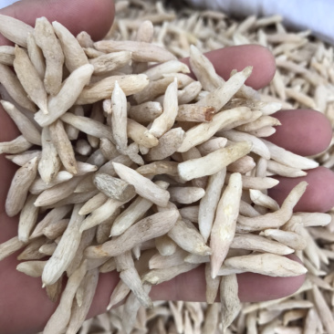 麦冬产地直销大货供应
