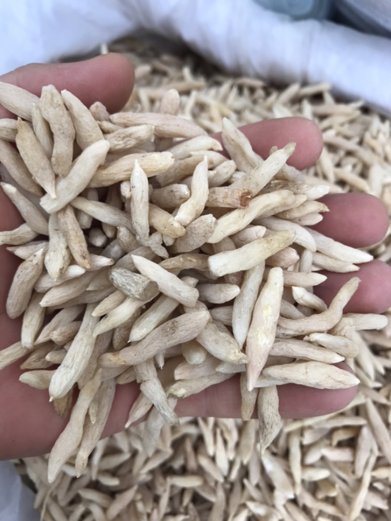 麦冬产地直销大货供应