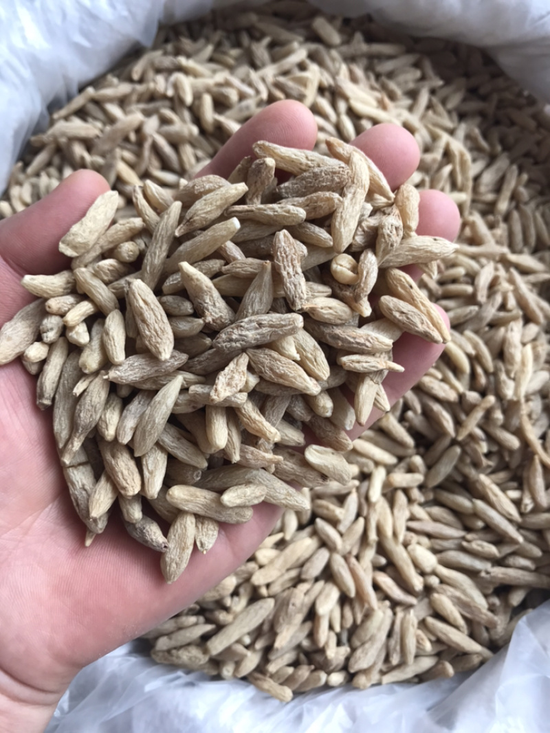 麦冬产地直销大货供应