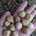 新疆今年的新鲜的无花果干特级果，精选果干，