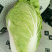 河北产地直发黄心菜白菜，北京三号菜，质优价廉