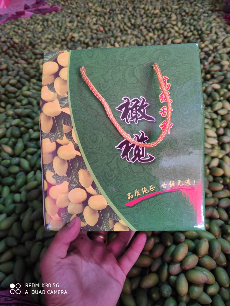 福建2号，精品特甜橄榄，甜橄榄香橄榄，各种各样橄榄批发