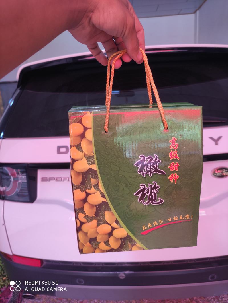 福建2号，精品特甜橄榄，甜橄榄香橄榄，各种各样橄榄批发