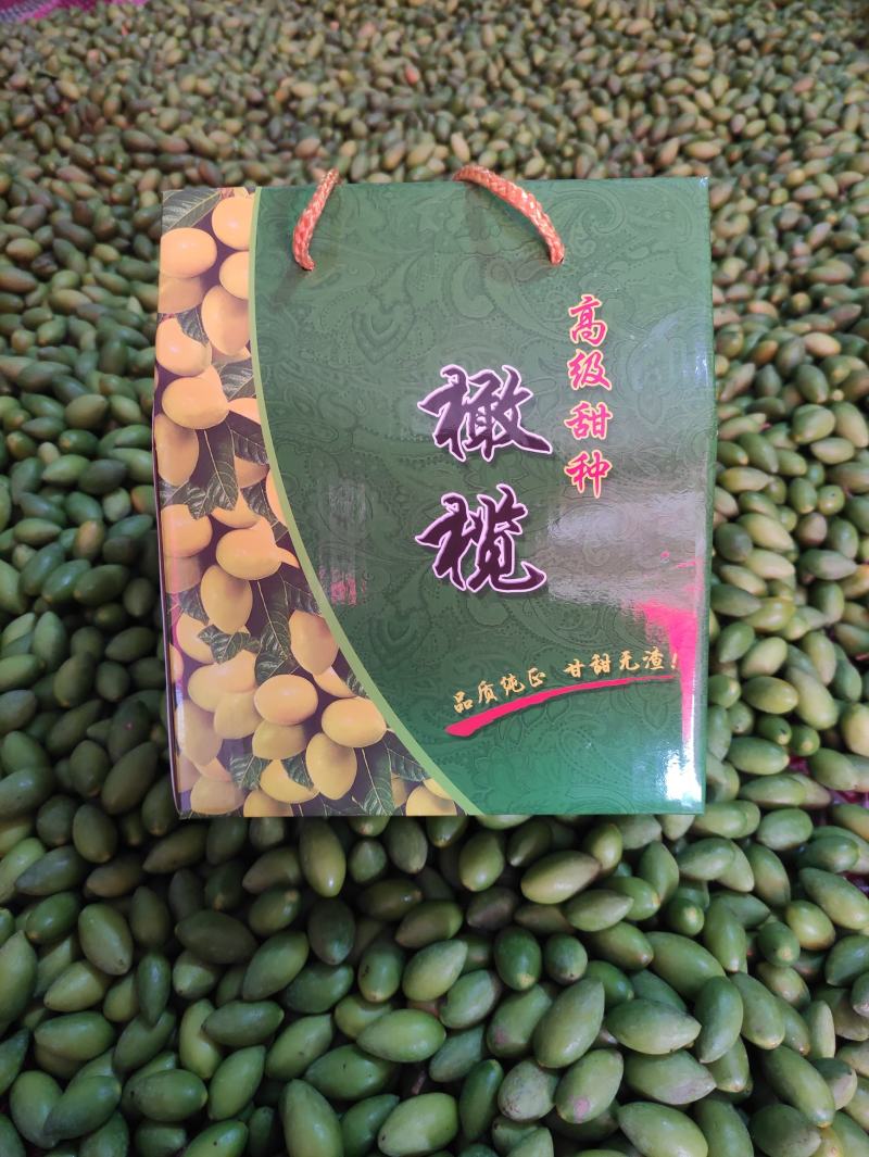 福建2号，精品特甜橄榄，甜橄榄香橄榄，各种各样橄榄批发