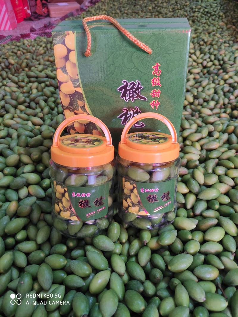 福建2号，精品特甜橄榄，甜橄榄香橄榄，各种各样橄榄批发