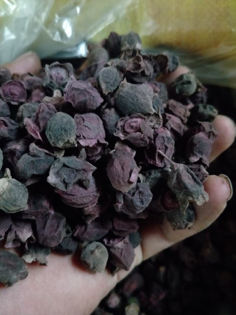 野生药用泡酒桃金娘干货，棯子干，三蒸三晒！桃金娘果实