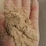 精品饲料河北原料大米油糠抛光粉诚信经营，一手货源