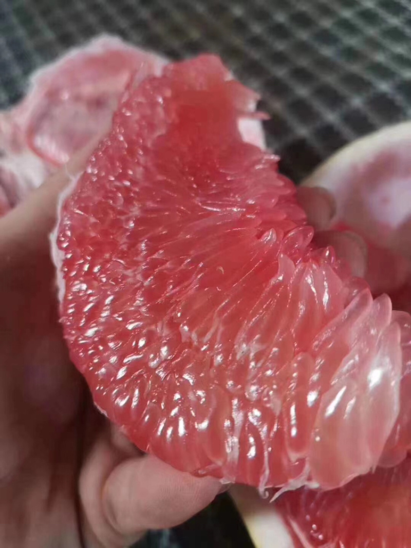 琯溪蜜柚产地直销代购代销