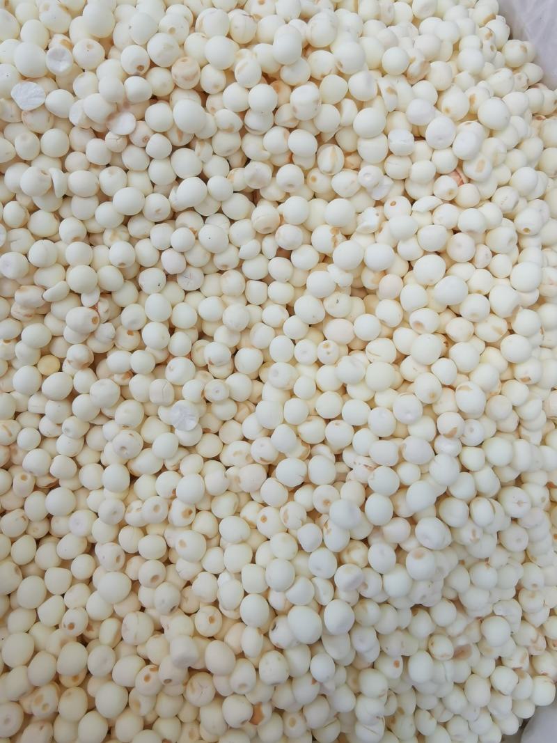 去皮芡实全干货芡实米白芡实鸡头米可供批发零售
