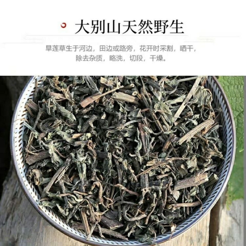 旱莲草一手货源产地直销