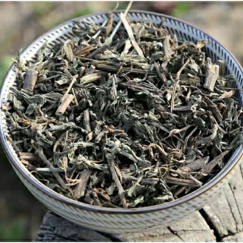 旱莲草一手货源产地直销