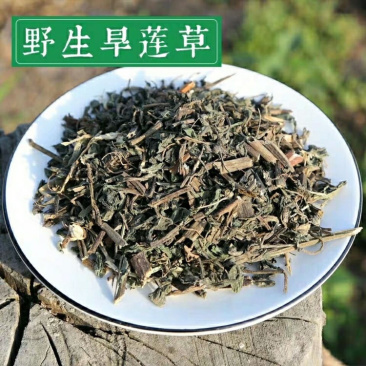 旱莲草一手货源产地直销