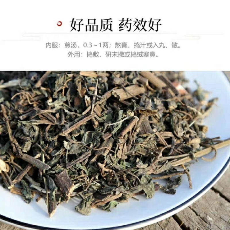 旱莲草一手货源产地直销