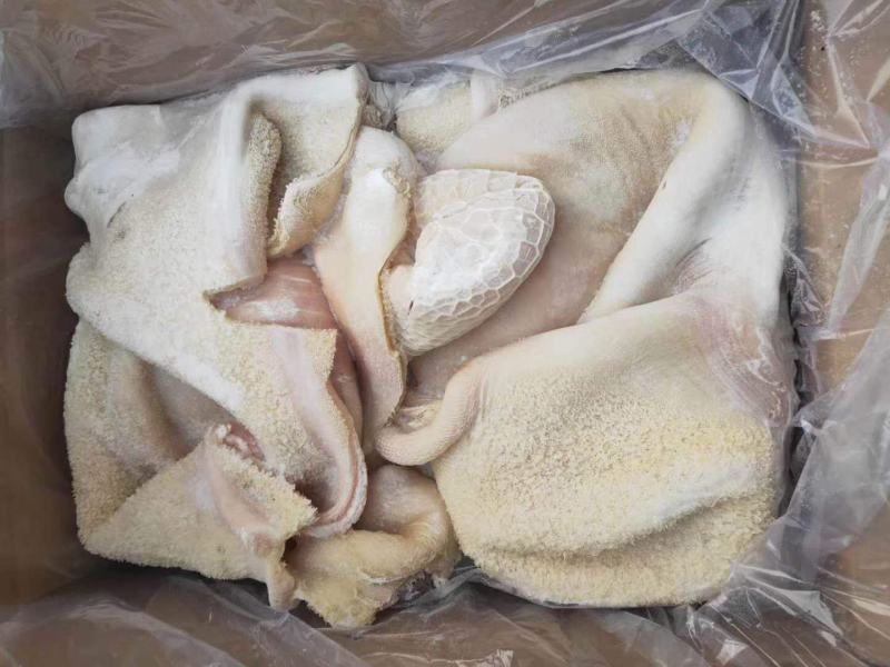 （半成品纯干牛肚）厂家直销一手货源质量保证